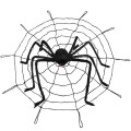 main-image-5.jpeg