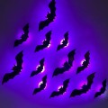 main-image-2.jpeg